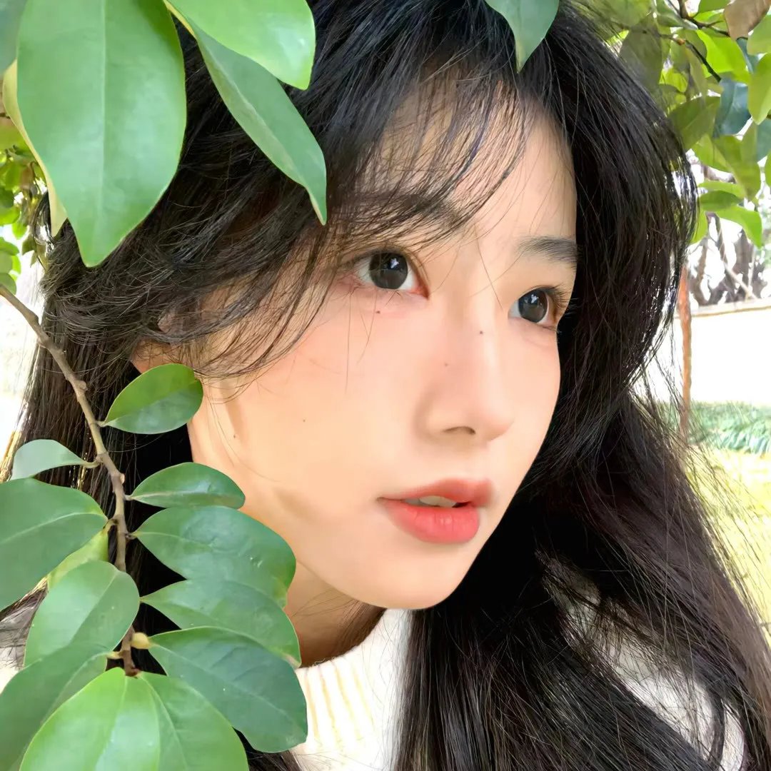 降河洄游 封面