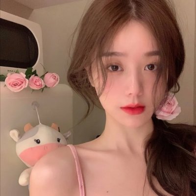锁麟囊 封面